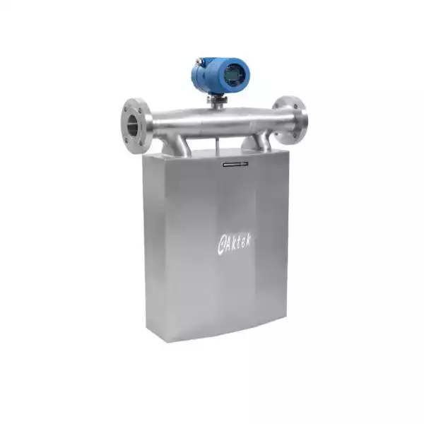 Kütlesel Debimetre TMF-1 DN20