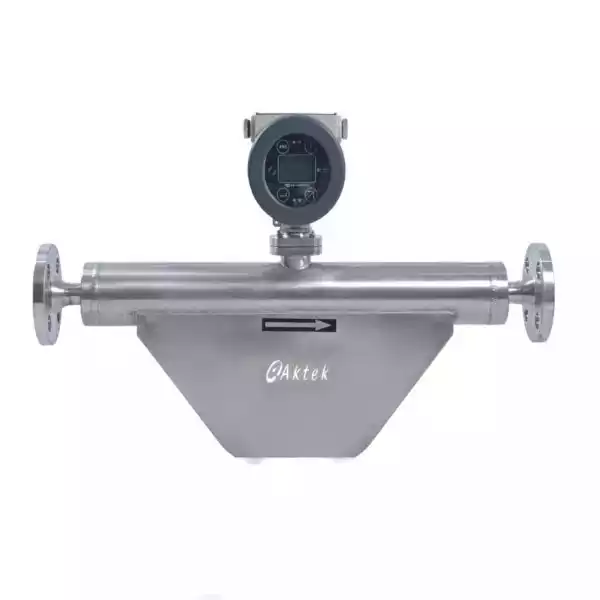 Kütlesel Debimetre TMF-1 DN20